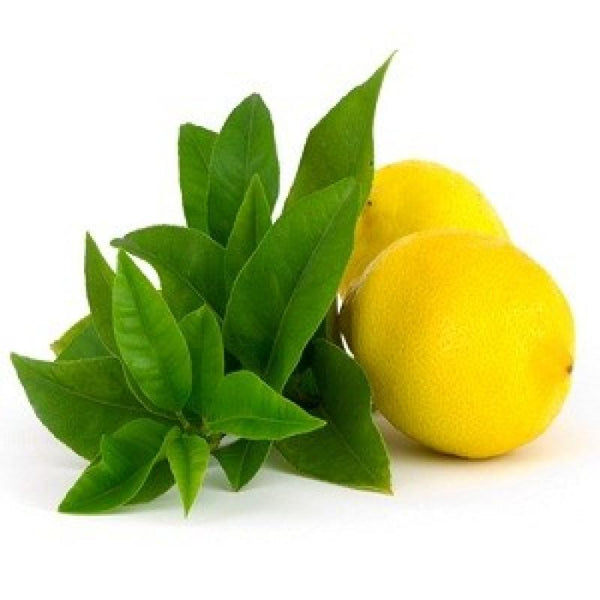 Lemon Verbena - Mam Jam's Candle Company