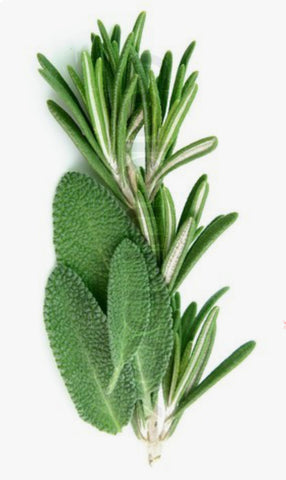 Rosemary Sage